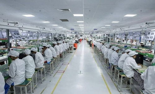 啼笑皆非 揭開印度制造的組裝與技術(shù)服務(wù)真相